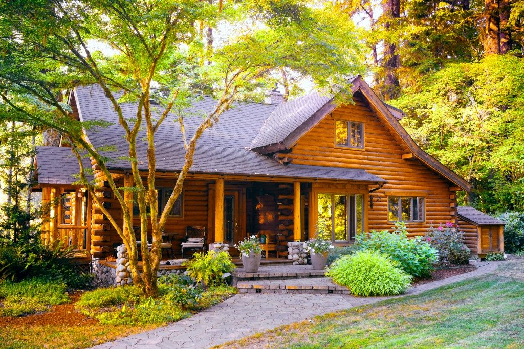 Rustic house and garden